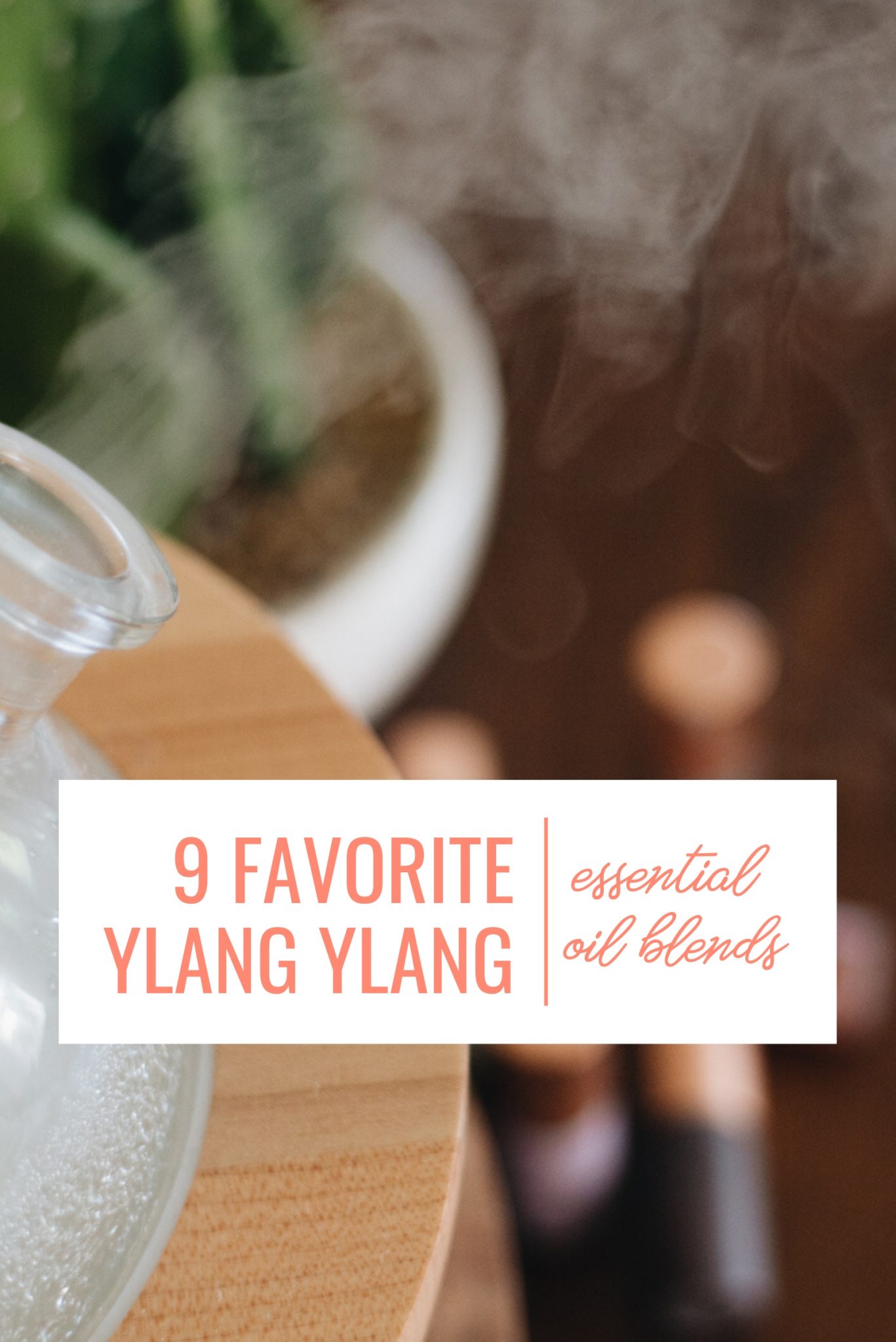 My Top 3 Favorite Ylang Ylang Essential Oil Benefits (+9 Amazing Diffuser Blends) Whimsy